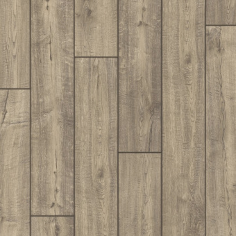 IMU1993 Дуб дымчатый