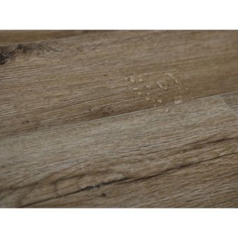 NR604 Дуб Клепп