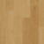AVSPU40320 Дуб Береговой медовый AVSPU40320 Дуб Береговой медовый