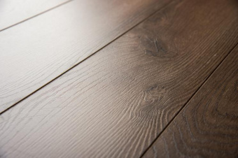 54781 Дуб Данди