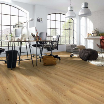 80052 Дуб Аризона 