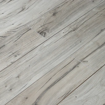 SF63 Дуб Северная Звезда