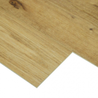 SU1205 Дуб Лит