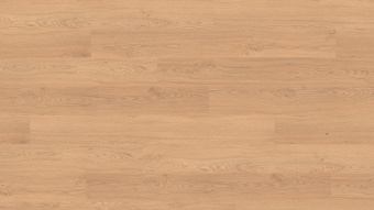 Дуб Реколета 2974