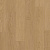 AVSPT40278 Дуб Пряничный
