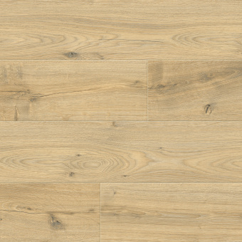 8335 Дуб Риман