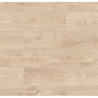 56693 Дуб Ларедо / Laredo Oak