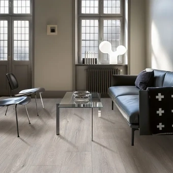 IMU 8471  Дуб Северное сияние