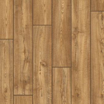 IMU1994 Дуб южный