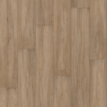 AСTIVA  APOLLO 1;   APOLLO 2