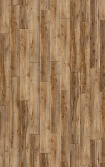 6007 Клен Каньон