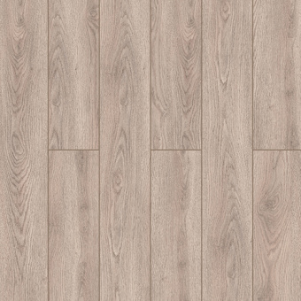 59877 Дуб Ченнаи