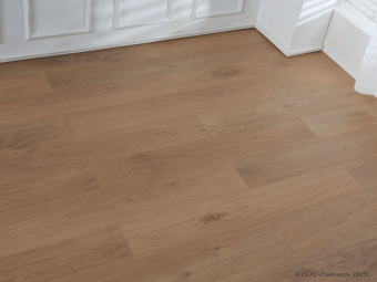 818 Дуб Медовый