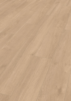 D6012 Дуб Эльба Золотой