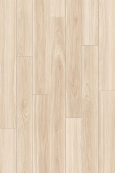 CFF 504 Ясень Орегано