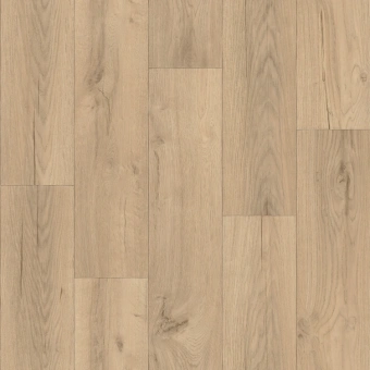 FORCE R TEORA 4; TEORA 5