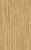 D40792 Дуб Тахо