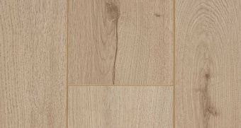 LM25 Дуб Альбаро