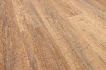 Дуб Париж А 105