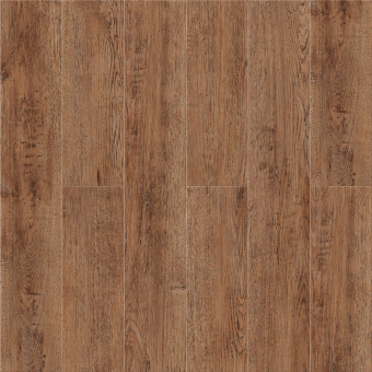 Дуб Античный ZH-82017-2