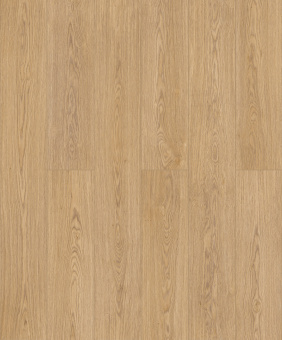 50817 Дуб Виейра