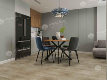 ECO 11-1802 Шварцвальд