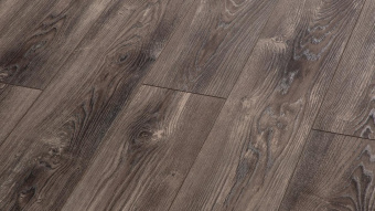  LM-09 Тис Амальфи / Amalfi Yew  