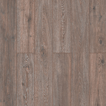 59837 Дуб Сурат 