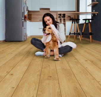 ID12 Дуб Лонч