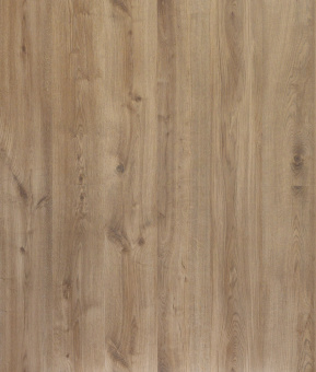  D50717 Дуб Джордан