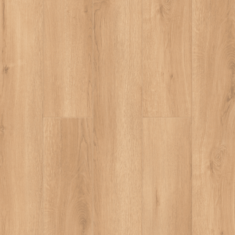 LF101-24 Дуб Виченца