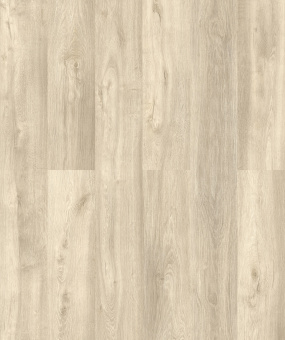 D50207 WG Дуб Теруэль