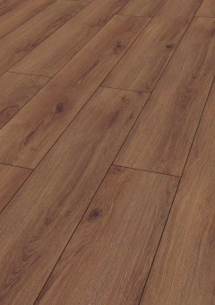 D80612 Дуб Норфолк кофе