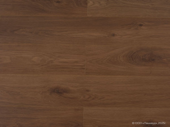 1219 Дуб Мореный