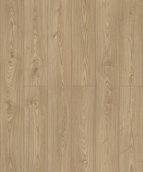 D50567 Дуб Лейнстоун