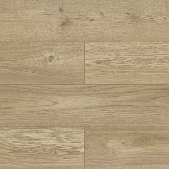 50927 Дуб Мориссен