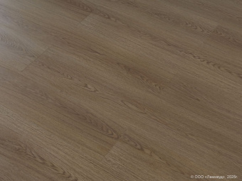 814 Дуб Карамельный
