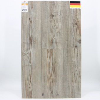 Сосна Пригницкая D3546