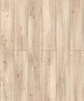 D50907 Дуб Руфус