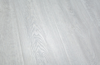 91724-12 Дуб Северный