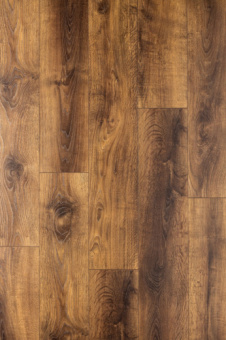 CXI152 Дуб Марокканский